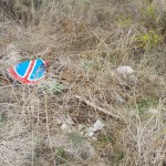 IMG_20150925_162937