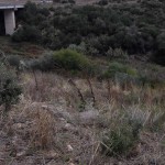 IMG_20150925_163505