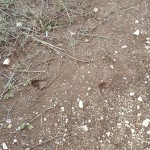 IMG_20150925_163535