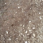 IMG_20150925_163538