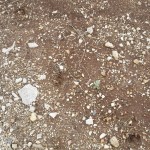 IMG_20150925_163550