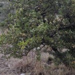 IMG_20150925_163751