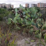 IMG_20150925_163912
