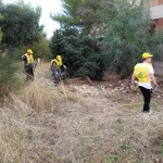 IMG_20150926_093124