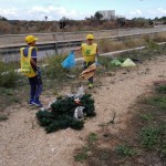 IMG_20150926_094148
