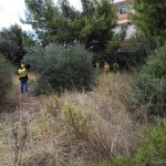 IMG_20150926_095538